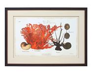 Oils and Original Art